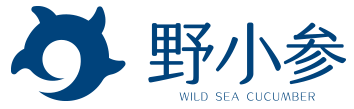涵桅品牌 涵桅设计